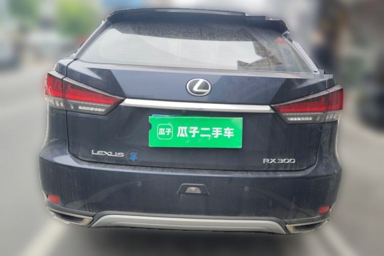 Used Lexus RX 2020 300 Two-Wheel Drive Elite Edition China VI Standard Rear