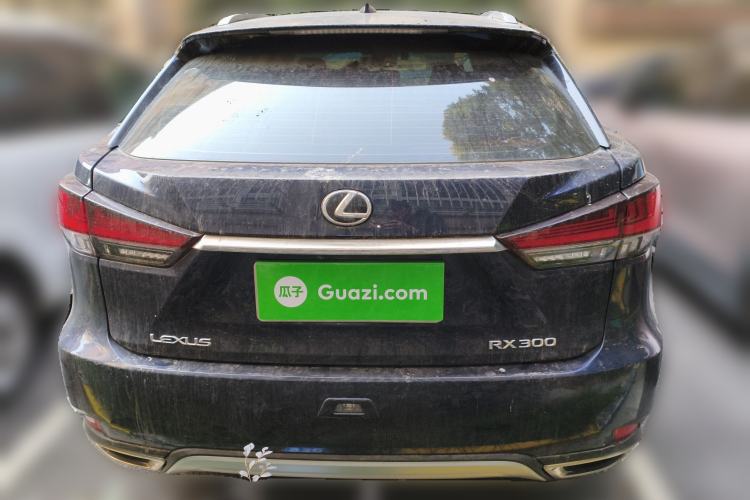 Used Lexus RX 2020 Revised Version 300 Two-Wheel Drive Comfort Edition Rear