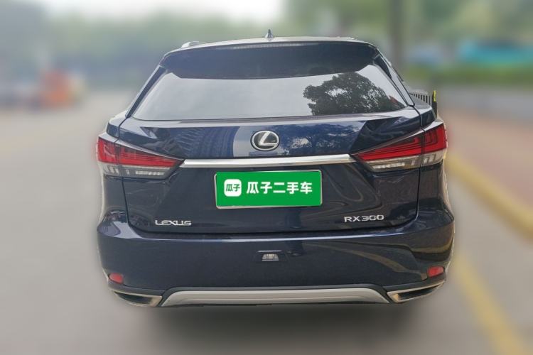 Used Lexus RX 2020 300 4x4 Elegant Edition China V Standard Rear