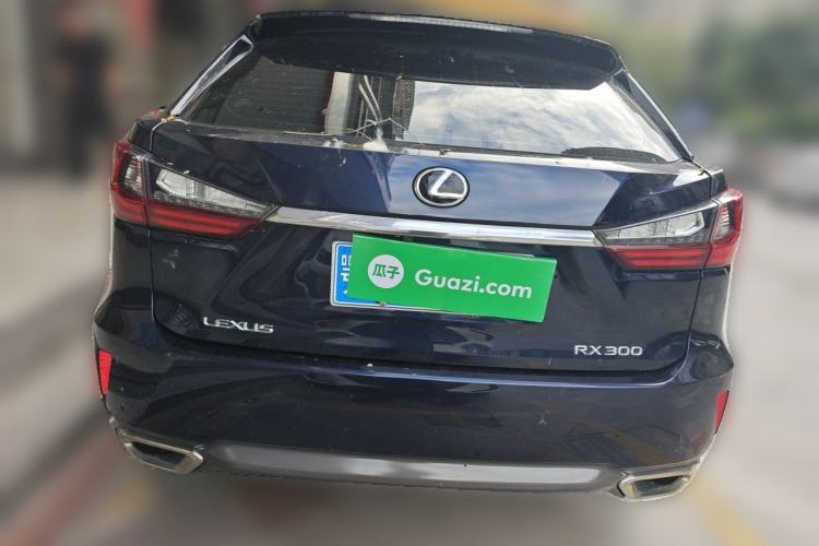 Used Lexus RX 2020 300 Two-Wheel Drive Elite Edition China VI Standard Rear