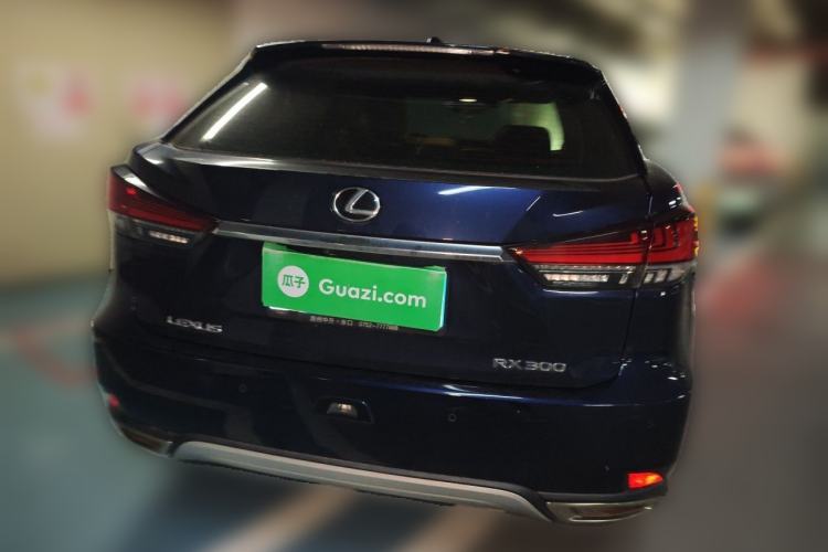 Used Lexus RX 2020 Revised Version 300 Two-Wheel Drive Comfort Edition Rear