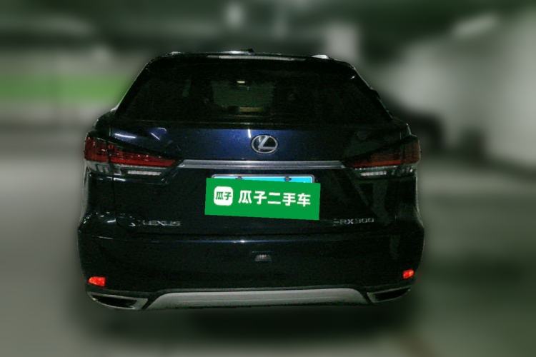 Used Lexus RX 2020 300 Two-Wheel Drive Comfort Edition China VI Standard Rear