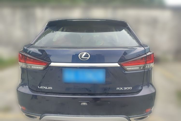 Used Lexus RX 2020 Revised Version 300 Two-Wheel Drive Comfort Edition Rear