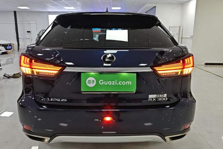 Used Lexus RX 2020 Revised Version 300 Two-Wheel Drive Elite Edition Rear