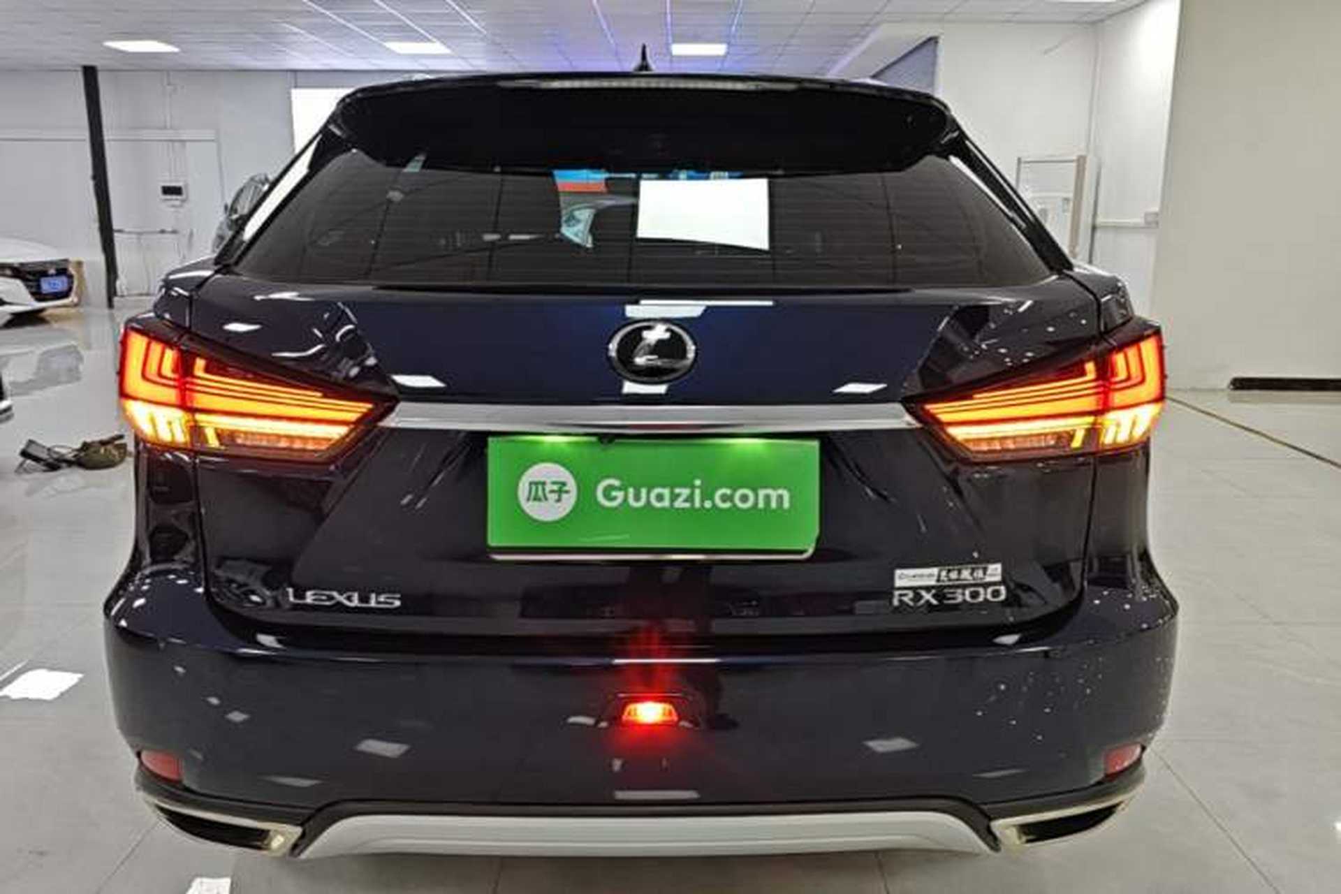 Used Lexus RX 2020 Revised Version 300 Two-Wheel Drive Elite Edition Rear