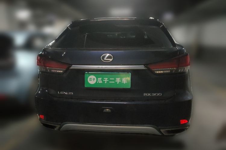 Used Lexus RX 2020 Revised Version 300 Two-Wheel Drive Comfort Edition Rear