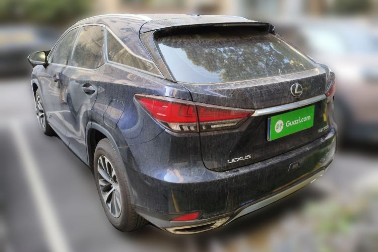 Used Lexus RX 2020 Revised Version 300 Two-Wheel Drive Comfort Edition Rear Left 45 Deg