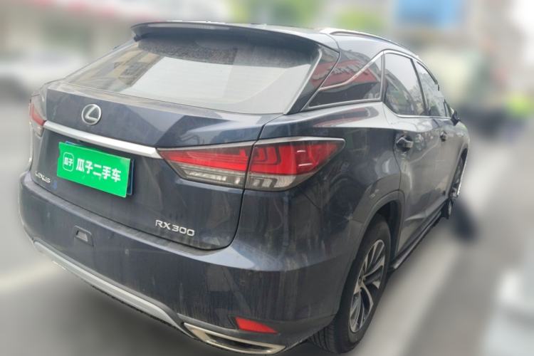 Used Lexus RX 2020 300 Two-Wheel Drive Elite Edition China VI Standard Rear Right 45 Deg
