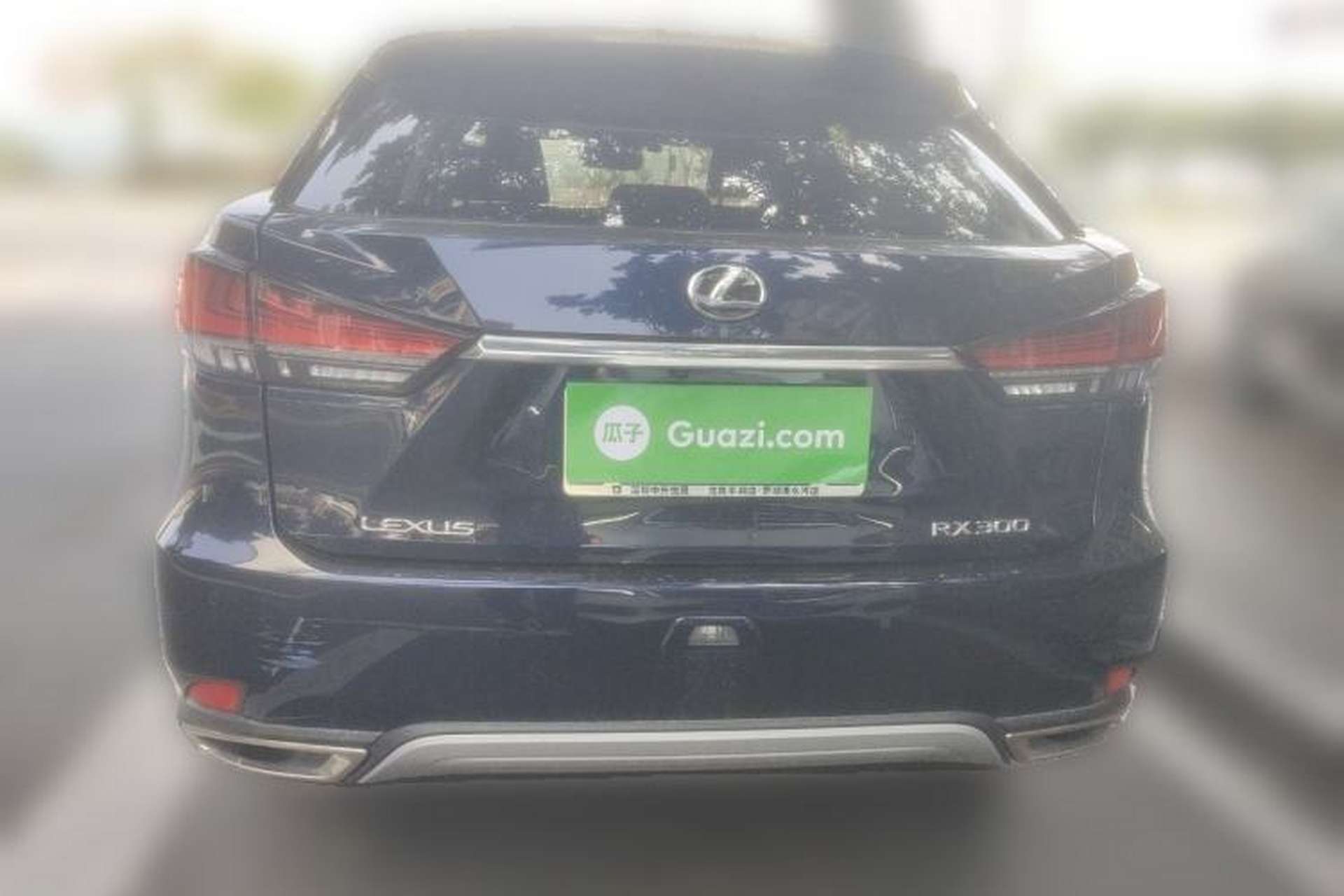 Used Lexus RX 2020 Revised Version 300 Two-Wheel Drive Comfort Edition Rear