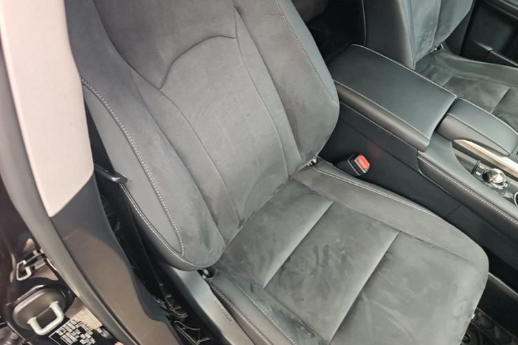 Used Lexus RX 2020 Revised Version 300 Two-Wheel Drive Elite Edition Right Front Seat