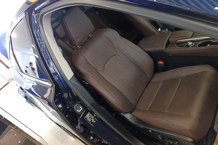 Used Lexus RX 2020 Facelifted 300 4x4 Elegant Edition Right Front Seat