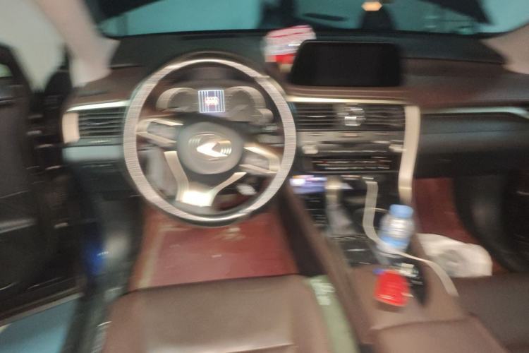 Used Lexus RX 2020 Revised Version 300 Two-Wheel Drive Comfort Edition Steering Wheel