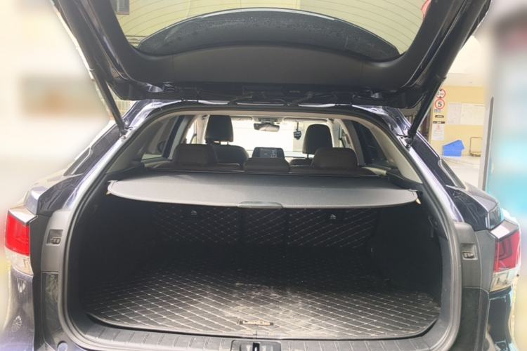 Used Lexus RX 2020 300 4x4 Elegant Edition China VI Trunk
