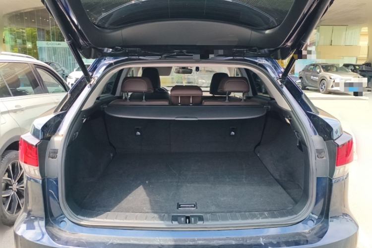 Used Lexus RX 2020 Facelifted 300 4x4 Elegant Edition Trunk