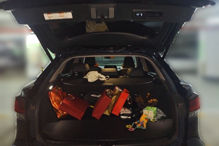 Used Lexus RX 2020 300 4x4 Elegant Edition China VI Trunk