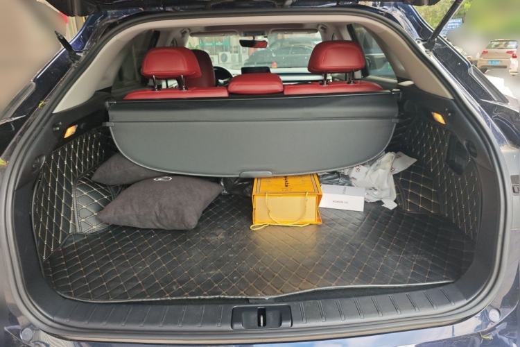 Used Lexus RX 2020 300 Two-Wheel Drive Elite Edition China VI Standard Trunk