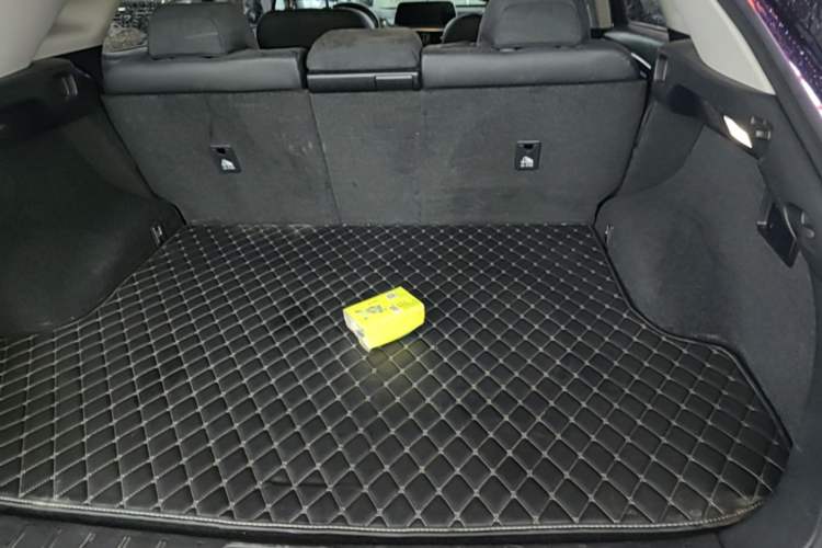 Used Lexus RX 2020 Revised Version 300 Two-Wheel Drive Elite Edition Trunk