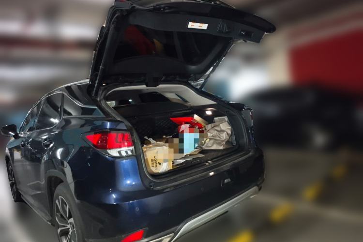 Used Lexus RX 2020 Facelifted 300 4x4 Elegant Edition Trunk