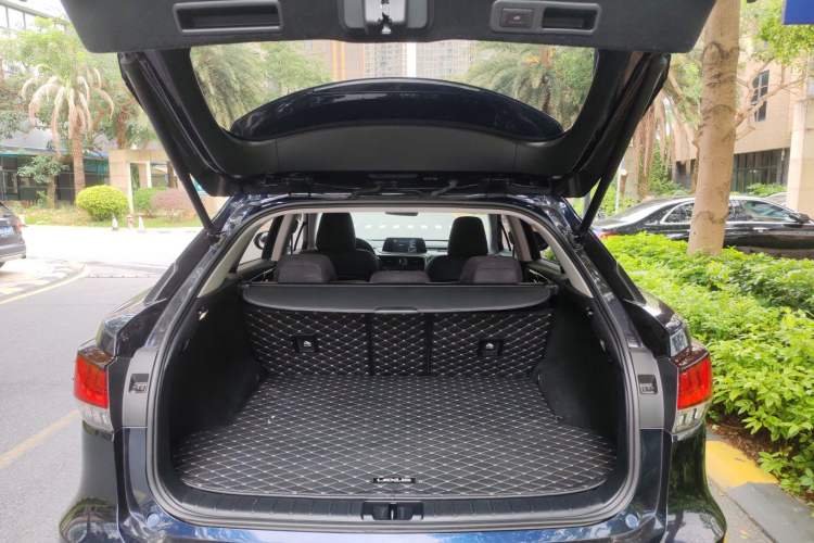 Used Lexus RX 2020 Revised Version 300 Two-Wheel Drive Elite Edition Trunk