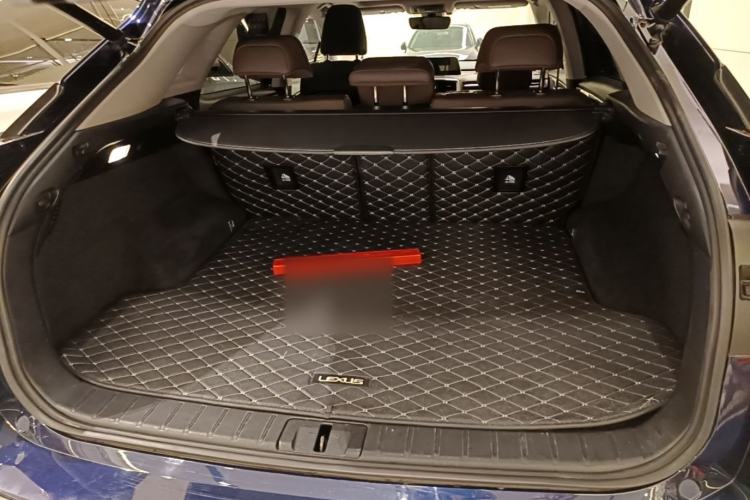 Used Lexus RX 2020 Facelifted 300 4x4 Elegant Edition Trunk