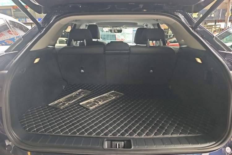 Used Lexus RX 2020 Revised Version 300 Two-Wheel Drive Elite Edition Trunk