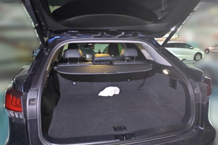 Used Lexus RX 2020 Facelifted 300 4x4 Elegant Edition Trunk