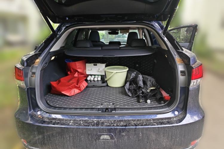 Used Lexus RX 2020 Facelifted 300 4x4 Elegant Edition Trunk