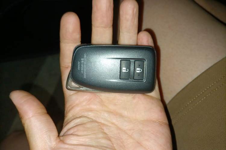 Used Lexus RX 2020 300 Two-Wheel Drive Elite Version China V Standard Vehicle Key