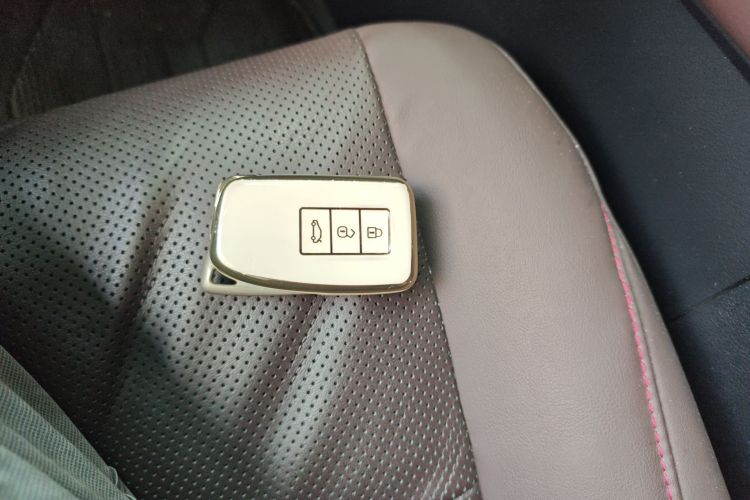 Used Lexus RX 2020 Facelifted 300 4x4 Elegant Edition Vehicle Key