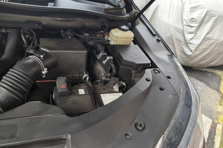 Used Lexus RX 2020 300 Two-Wheel Drive Elite Edition China VI Standard Engine Bay Left