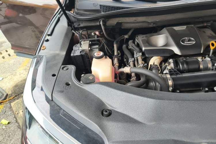 Used Lexus RX 2020 300 Two-Wheel Drive Elite Edition China VI Standard Engine Bay Right