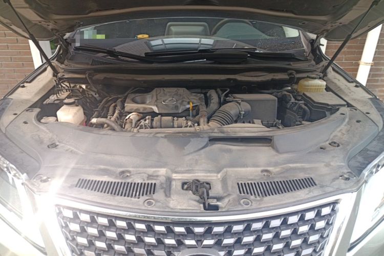 Used Lexus RX 2020 300 4x4 Elegant Edition China VI Engine Bay