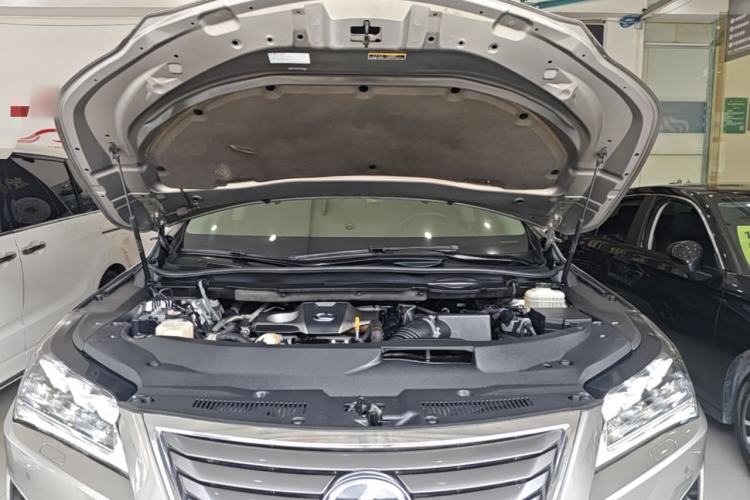 Used Lexus RX 2020 300 Two-Wheel Drive Elite Edition China VI Standard Engine Bay