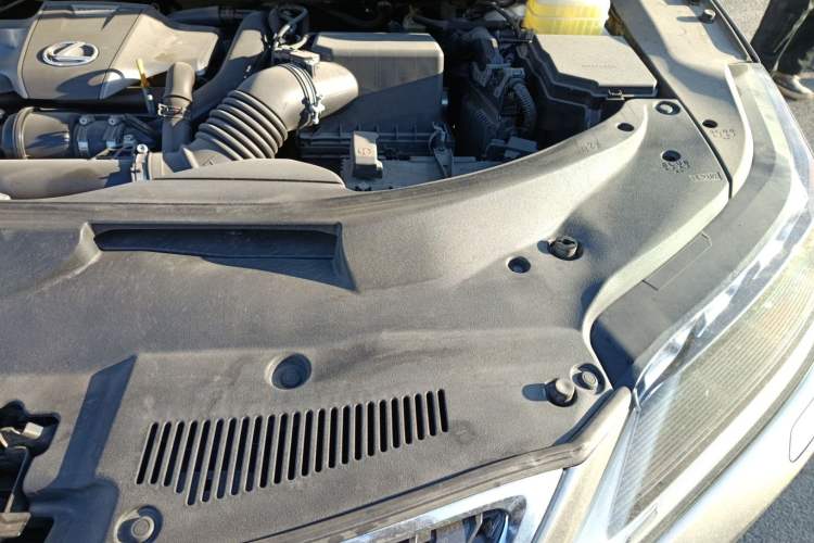 Used Lexus RX 2020 Facelifted 300 4x4 Elegant Edition Engine Bay Left