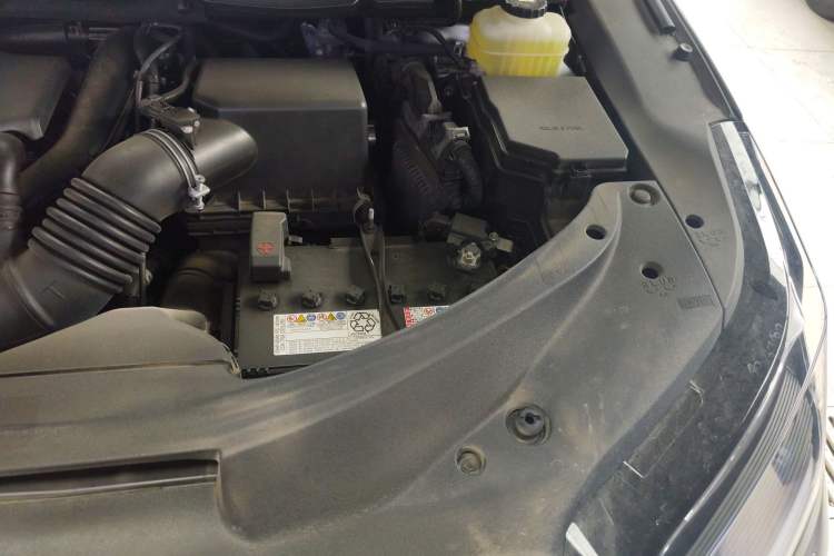Used Lexus RX 2020 Facelifted 300 4x4 Elegant Edition Engine Bay Left