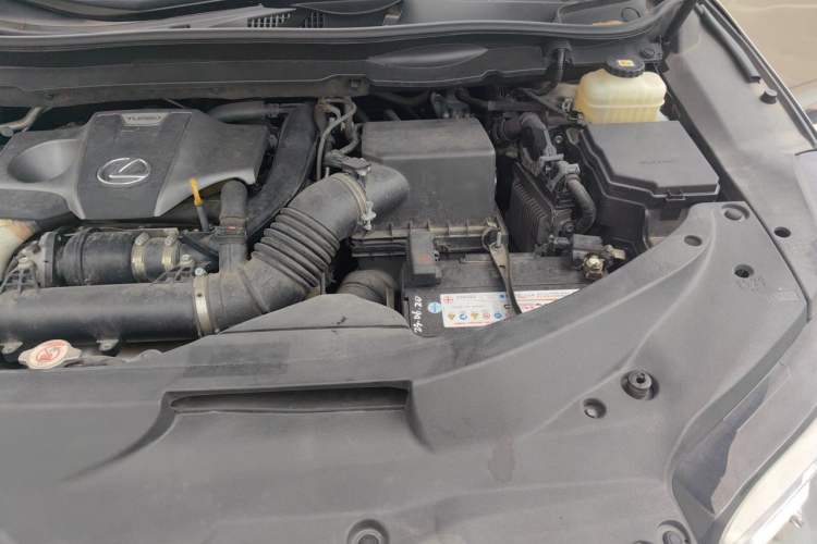 Used Lexus RX 2020 Revised Version 300 Two-Wheel Drive Comfort Edition Engine Bay Left