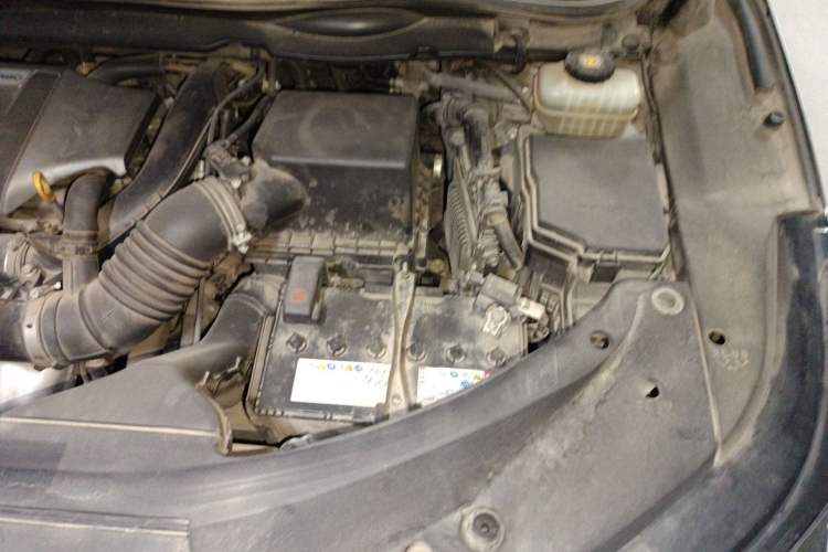 Used Lexus RX 2020 Revised Version 300 Two-Wheel Drive Comfort Edition Engine Bay Left