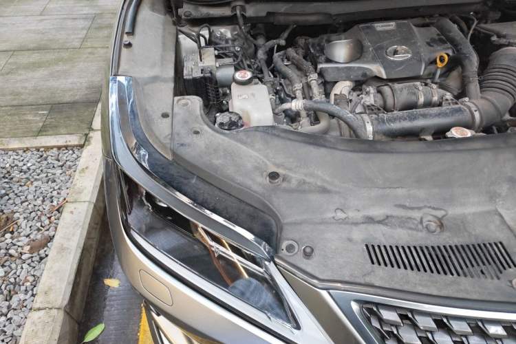 Used Lexus RX 2020 Revised Version 300 Two-Wheel Drive Comfort Edition Engine Bay Right