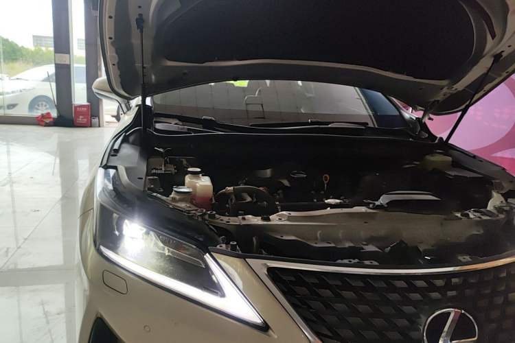 Used Lexus RX 2020 300 Two-Wheel Drive Elite Edition China VI Standard Engine Bay Right