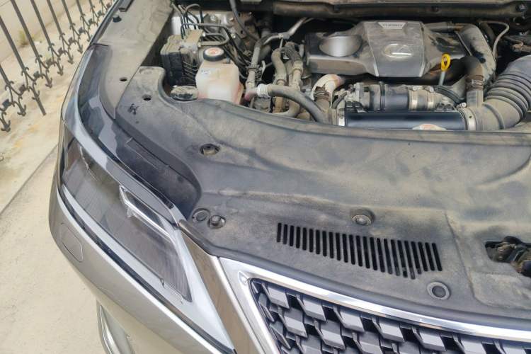 Used Lexus RX 2020 Revised Version 300 Two-Wheel Drive Elite Edition Engine Bay Right