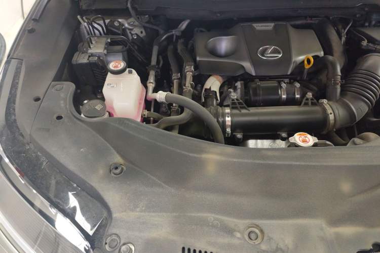 Used Lexus RX 2020 Facelifted 300 4x4 Elegant Edition Engine Bay Right