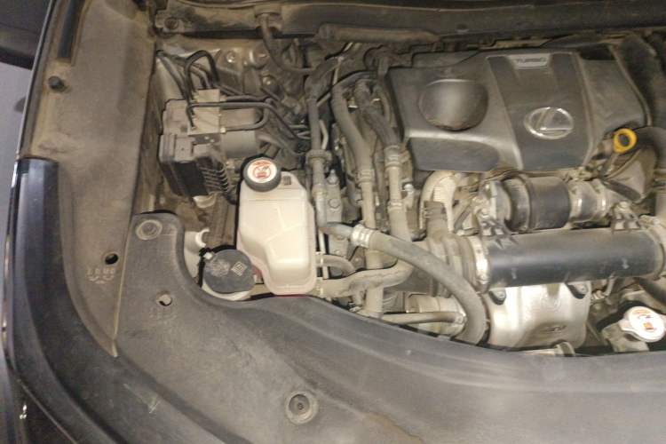 Used Lexus RX 2020 Revised Version 300 Two-Wheel Drive Comfort Edition Engine Bay Right