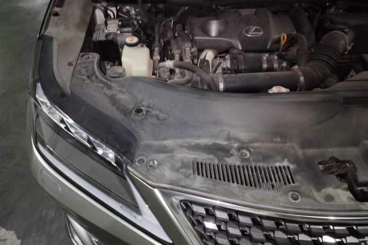 Used Lexus RX 2020 300 4x4 Elegant Edition China VI Engine Bay Right