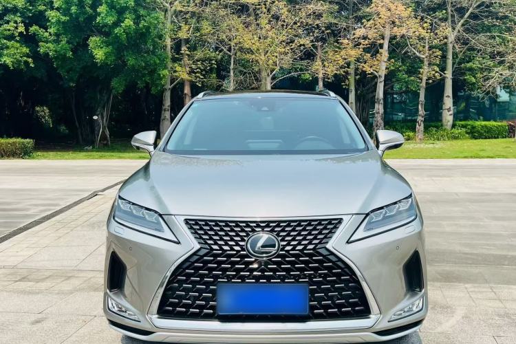 Used Lexus RX 2020 300 4x4 Elegant Edition China VI Exterior 1