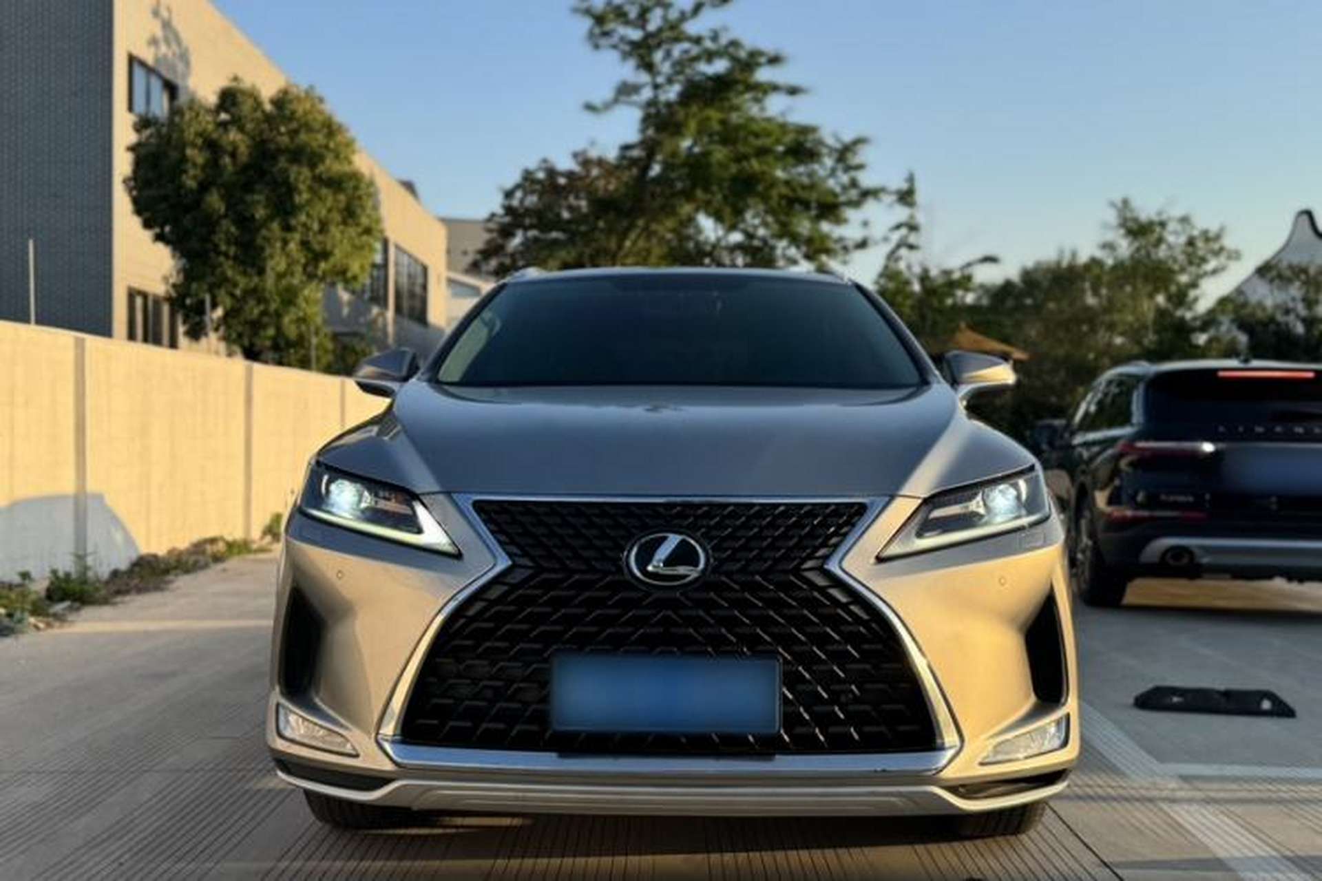 Used Lexus RX 2020 Revised Version 300 Two-Wheel Drive Elite Edition Exterior 1