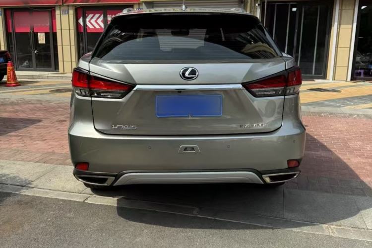 Used Lexus RX 2020 300 Two-Wheel Drive Elite Edition China VI Standard Exterior 4