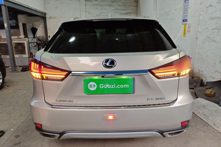 Used Lexus RX 2020 300 Two-Wheel Drive Comfort Edition China VI Standard Exterior 4
