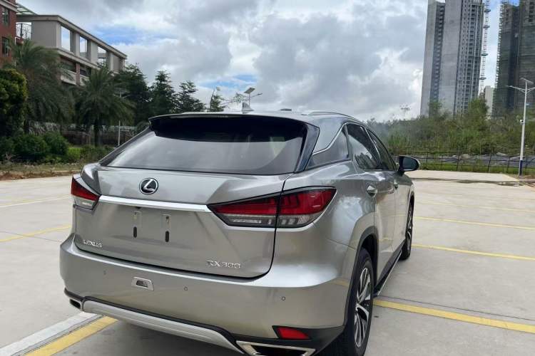 Used Lexus RX 2020 300 Two-Wheel Drive Elite Edition China VI Standard Exterior 4