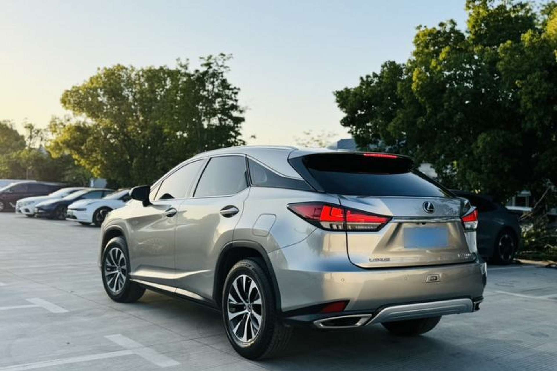 Used Lexus RX 2020 Revised Version 300 Two-Wheel Drive Elite Edition Exterior 6