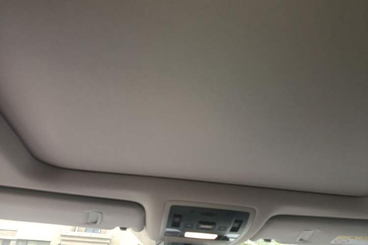 Used Lexus RX 2020 300 4x4 Elegant Edition China VI Headliner